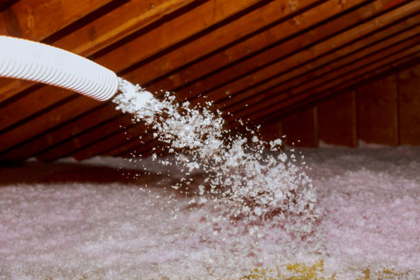 Best Affordable Insulation Services  in Harvey, MI