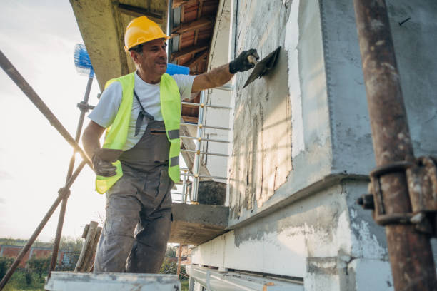 Best Insulation Removal  in Harvey, MI
